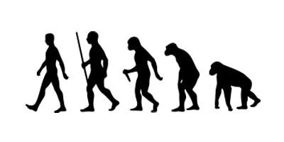 从猿到人的进化
